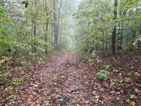 3 Bedroom 1 Bath Fixer Upper : Gosport : Monroe County : Indiana