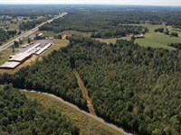 Battleground 39 Cullman County : Vinemont : Cullman County : Alabama