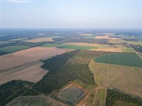 Randolph Sanctuary : Shellman : Randolph County : Georgia