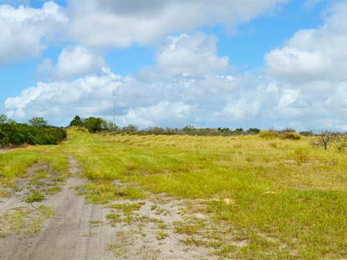 Babson Park 17 Acres : Babson Park : Polk County : Florida