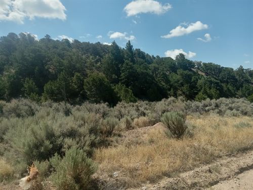5.31 Acres of Freedom in Blanca, Co : Blanca : Costilla County : Colorado