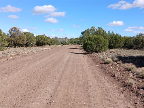 Freedom, Space, and Investment : Show Low : Apache County : Arizona