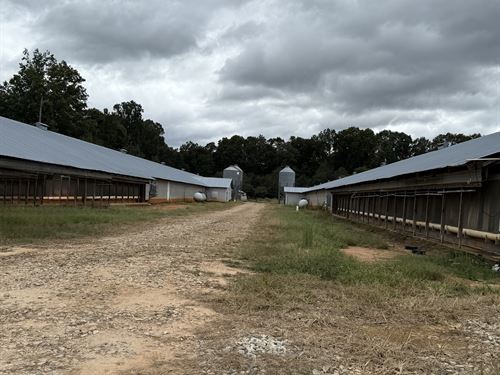Income Producing Broiler Farm : Carnesville : Franklin County : Georgia