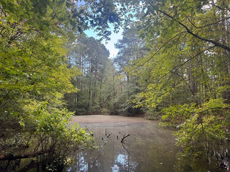 19.86 Acres Hot Spring Co AR WI : Donaldson : Hot Spring County : Arkansas