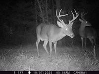 10-057 Gaston Tract : Georgiana : Butler County : Alabama