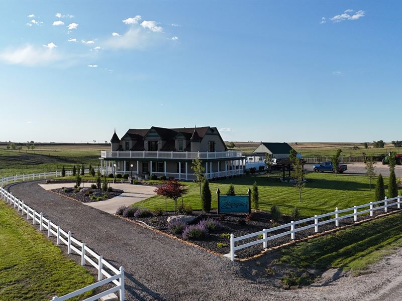 Simoneau Farms : Damar : Rooks County : Kansas