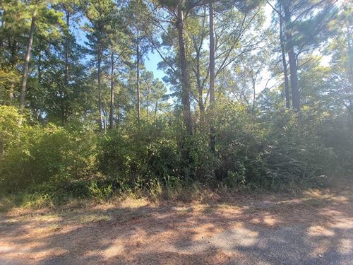 Two Lots, Jeffery Drive : Huntsville : Walker County : Texas