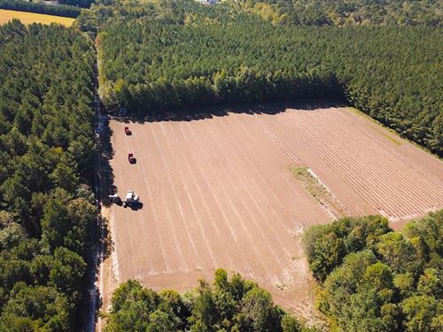 45 Acres of Farm : Whaleyville : Suffolk County : Virginia