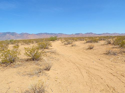 1.25 Acre RV Camping, $129/Month : Dolan Springs : Mohave County : Arizona