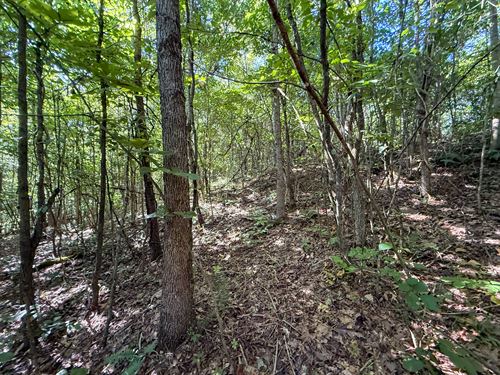 Mudsoc Rd Lot 1 : Patriot : Gallia County : Ohio