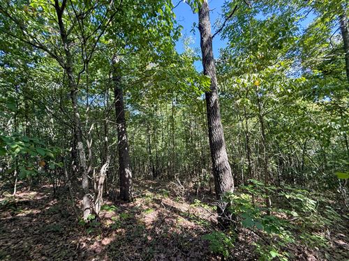 Mudsoc Rd Lot 2 : Patriot : Gallia County : Ohio