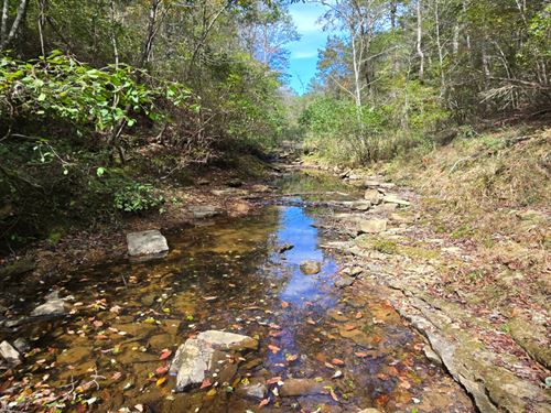 Yellow Creek Tract : Collinsville : DeKalb County : Alabama