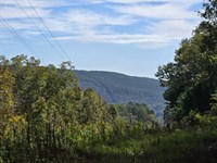 Oak Ridge Forest : Collinsville : DeKalb County : Alabama