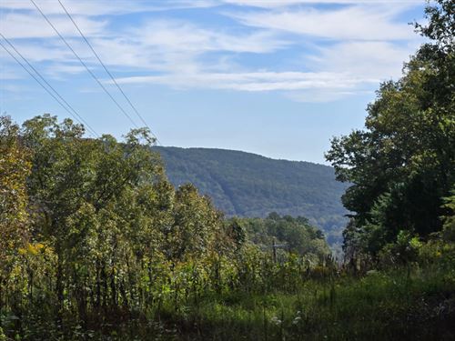 Oak Ridge Forest : Collinsville : DeKalb County : Alabama