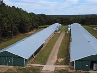 Field of Dreams Breeder Farm : Whitesburg : Carroll County : Georgia