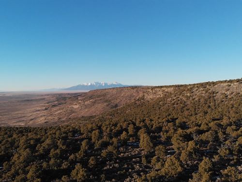 Your Quiet 2 Acre Reset : San Pablo : Costilla County : Colorado