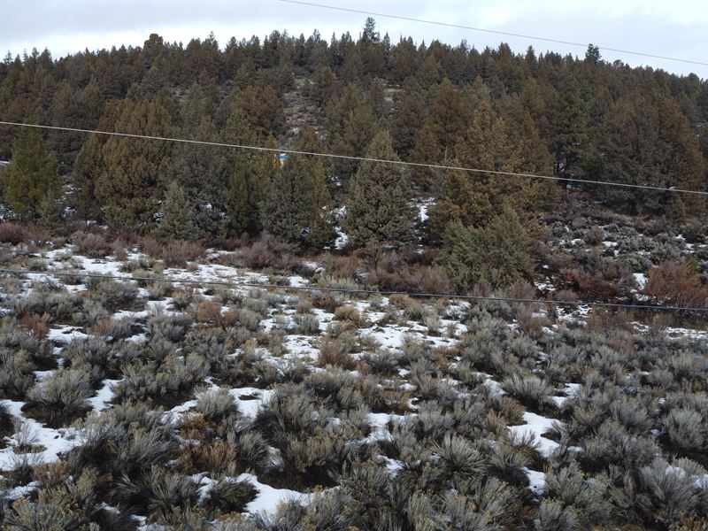 Your 1.54 Acres Recreation Paradise : Chiloquin : Klamath County : Oregon