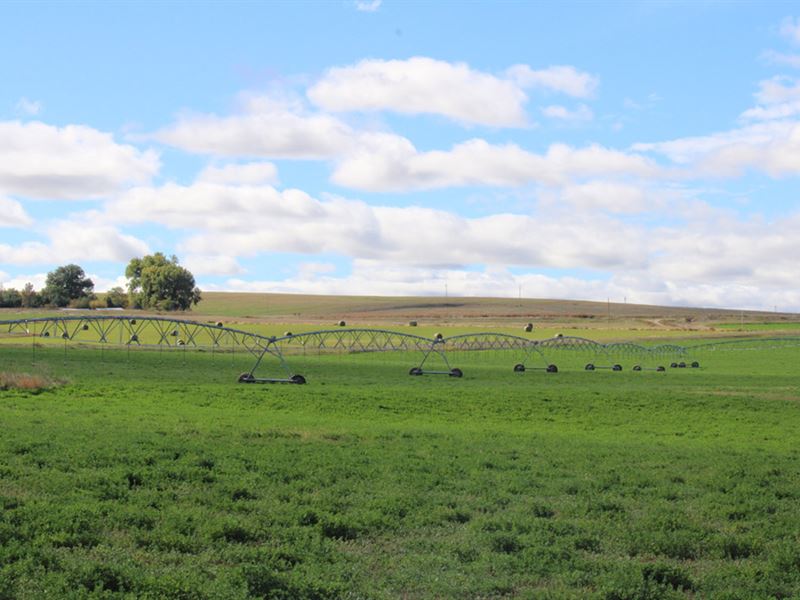 Highway 56 Hay Farm : Torrington : Goshen County : Wyoming