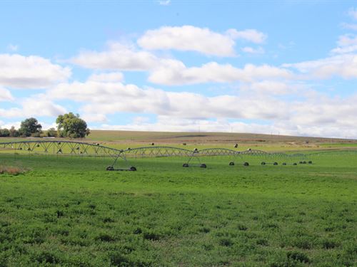 Highway 56 Hay Farm : Torrington : Goshen County : Wyoming