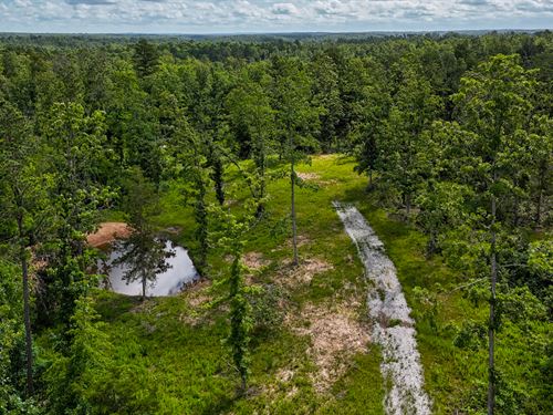 Beauty of The Ozarks : Bucyrus : Texas County : Missouri
