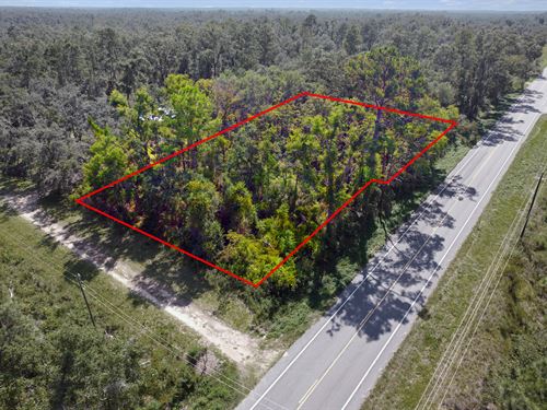 Beautiful Rural Home, Paved Road : Jennings : Hamilton County : Florida