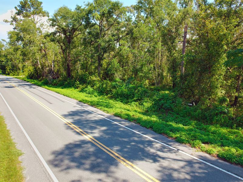 Gated Community Lot with Paved Road : Jennings : Hamilton County : Florida