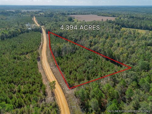 Tract 5 4.394 Acres : Jacksonville : Telfair County : Georgia