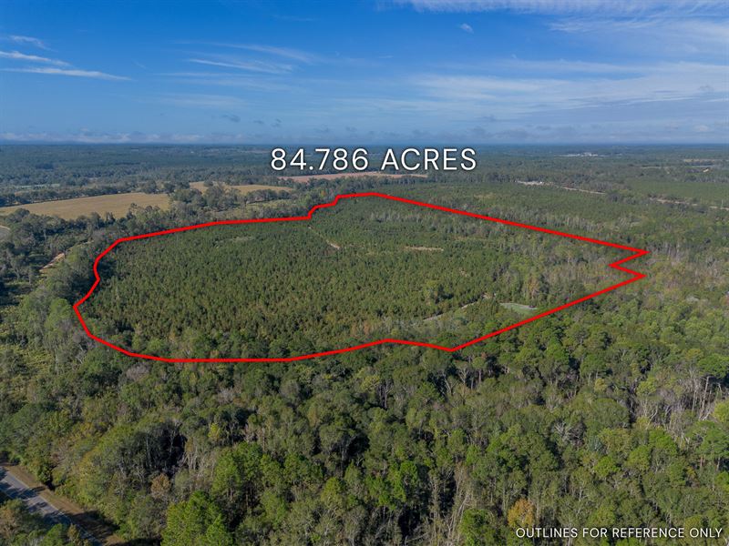 Tract 8 84.786 Acres : Jacksonville : Telfair County : Georgia