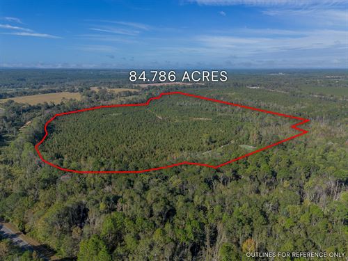 Tract 8 84.786 Acres : Jacksonville : Telfair County : Georgia
