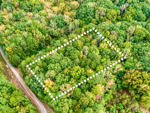 Peaceful Corner Lot Near Kerr Lake : Williamsboro : Vance County : North Carolina