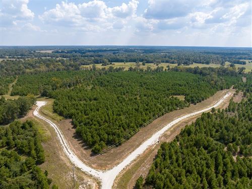 10 Acres, Leon Lane : Lovelady : Houston County : Texas