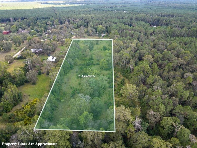 5 Acres, Buffalo Subdivision Rd : Livingston : Polk County : Texas