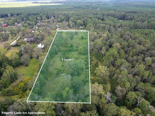5 Acres, Buffalo Subdivision Rd : Livingston : Polk County : Texas