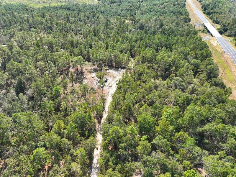 23.07 Ac Land for Sale Telfair Coun : Lumber City : Telfair County : Georgia