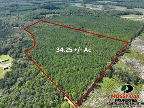 34.25 Acres Buck Ln, Woodbine GA : Woodbine : Camden County : Georgia