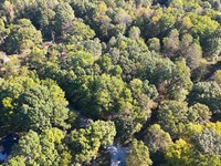 .95 Acres of Wooded Residential LA : Haw River : Alamance County : North Carolina