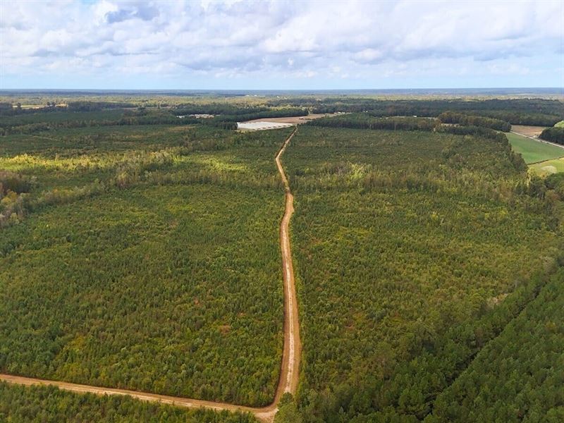 269.6 Acres of Ti : Kenansville : Duplin County : North Carolina