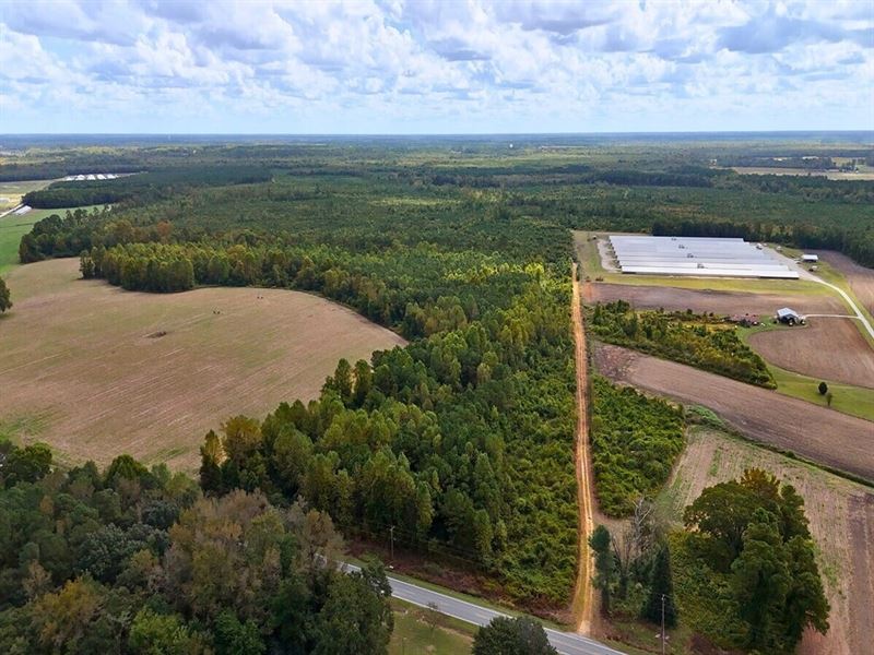 269.6 Acres of Timberland & Recreat : Kenansville : Duplin County : North Carolina