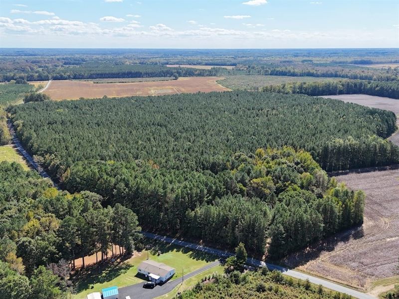4.56 Acres of Hunting and Residenti : Emporia : Greensville County : Virginia