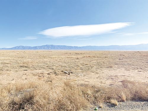 Quarter Acre Lot in Valencia County : Los Lunas : Valencia County : New Mexico