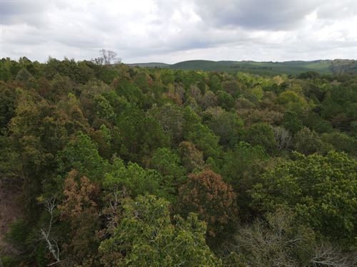 11 Acre Mini Farm Tract in Lincoln : Lincoln : Calhoun County : Alabama