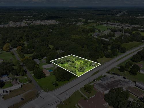 Kathleen Road Development Land : Lakeland : Polk County : Florida