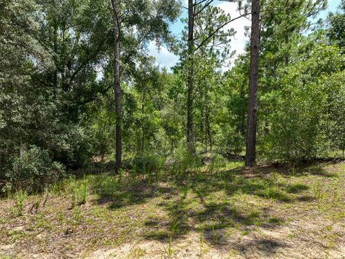 Massive Cash Discount .35 Acres FL : Interlachen : Putnam County : Florida