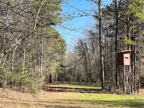 Tuscaloosa/Fayette County 304 : Fayette : Alabama