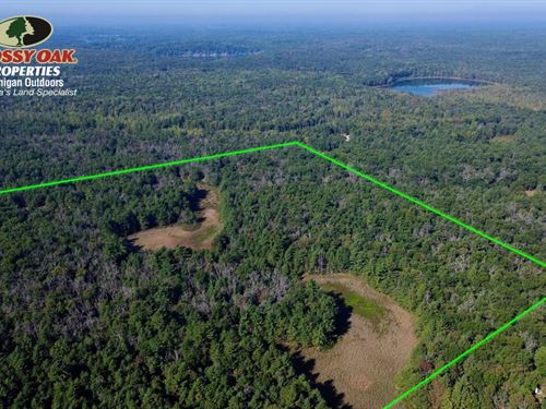 40 Acres / Newaygo County / Lan : Newaygo : Michigan