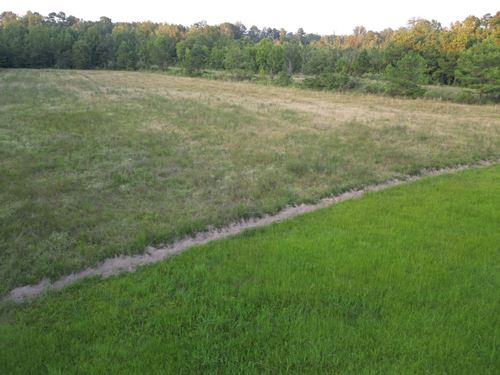 81 Swamp Leake : Carthage : Leake County : Mississippi