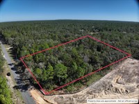 2.73 Acre Residential Lot in Citrus : Beverly Hills : Citrus County : Florida