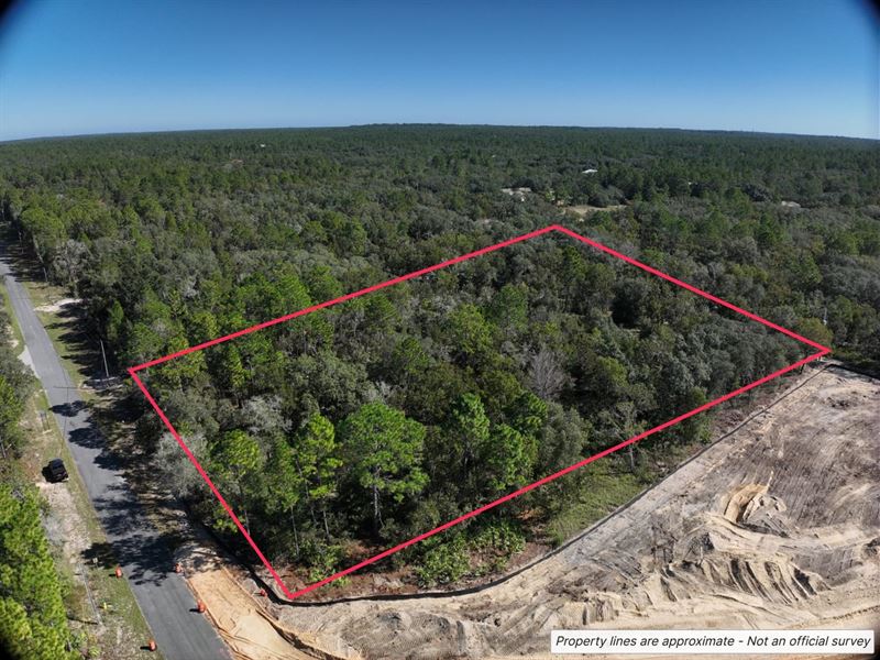 2.73 Acre Residential Lot in Citrus : Beverly Hills : Citrus County : Florida
