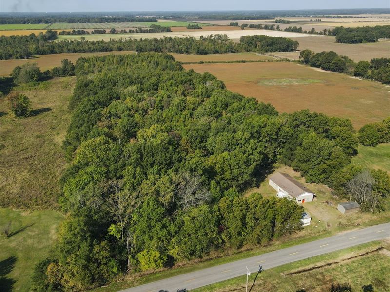 10 AC Property with Utilities Fo : Poplar Bluff : Butler County : Missouri