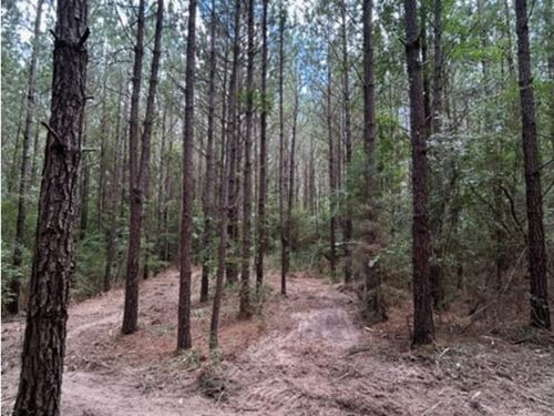 Investment Opportunity With Homeste : Mendenhall : Simpson County : Mississippi